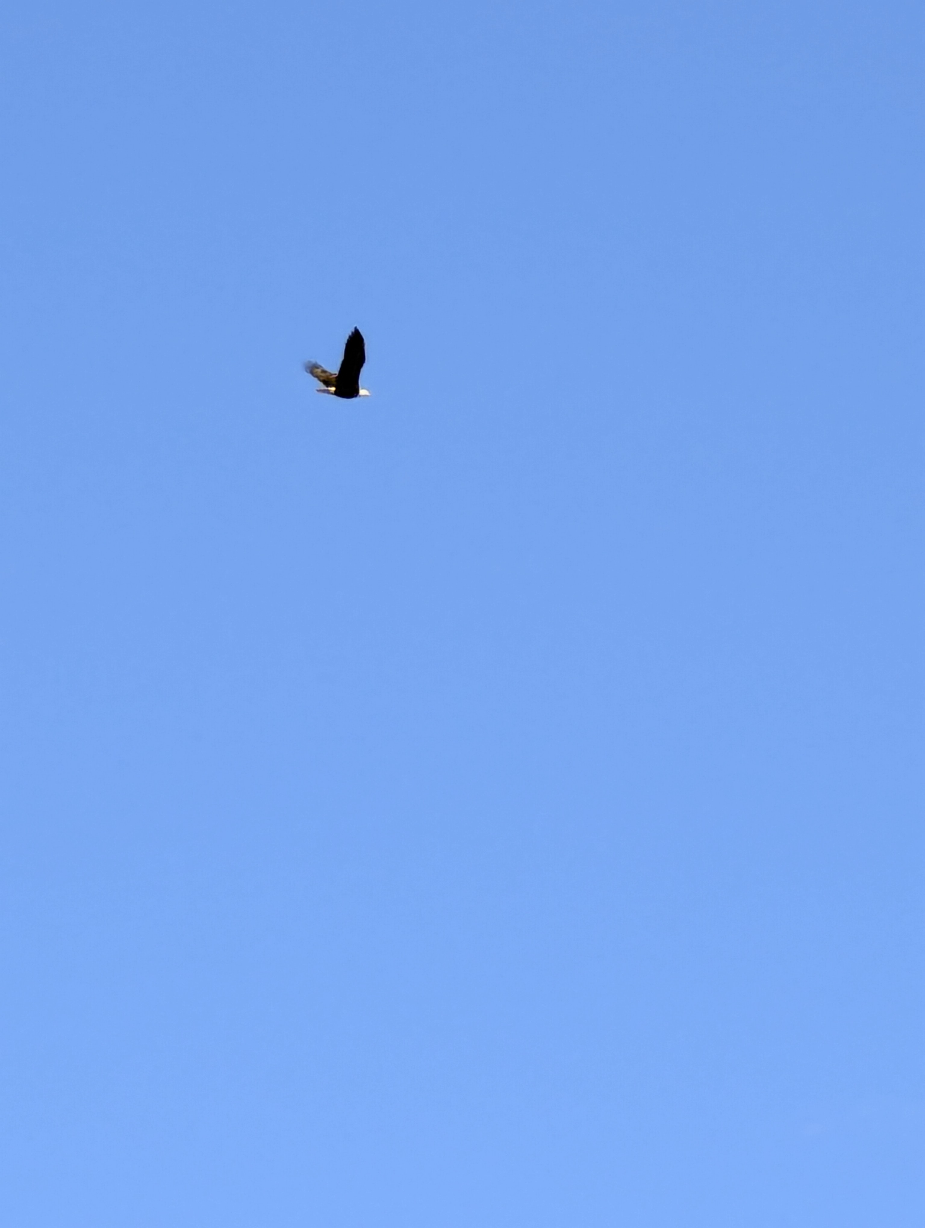 Birthday Trip to Canada,Victoria, Vancouver Island